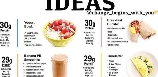 High protein meals for breakfast High protein meals for breakfast