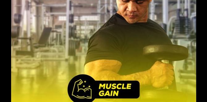 High protein meals for muscle gain High protein meals for muscle gain