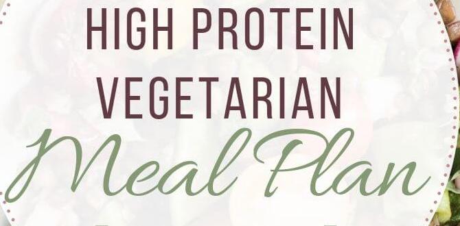 High protein plan for seniors