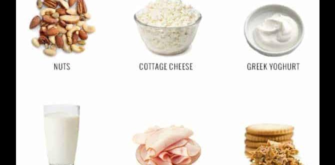High protein snacks for people on the go High protein snacks for people on the go
