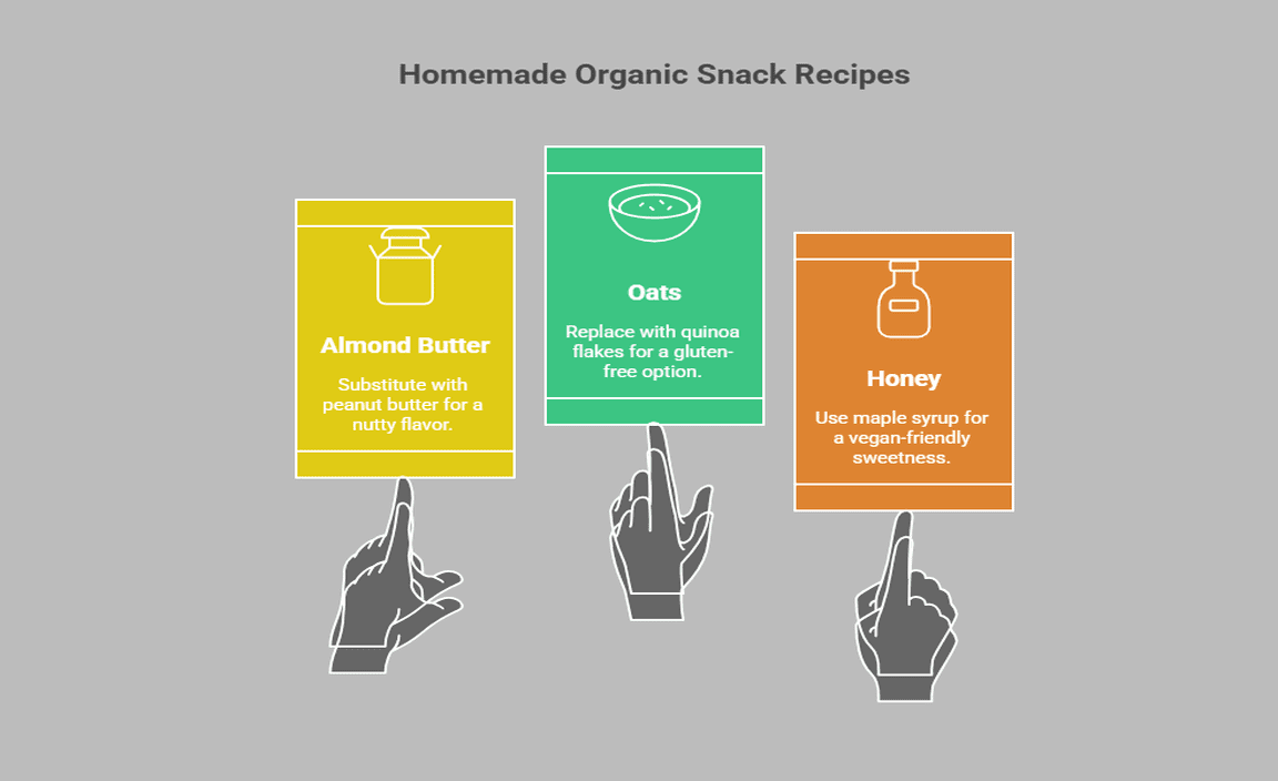 Homemade Organic Snack Recipes