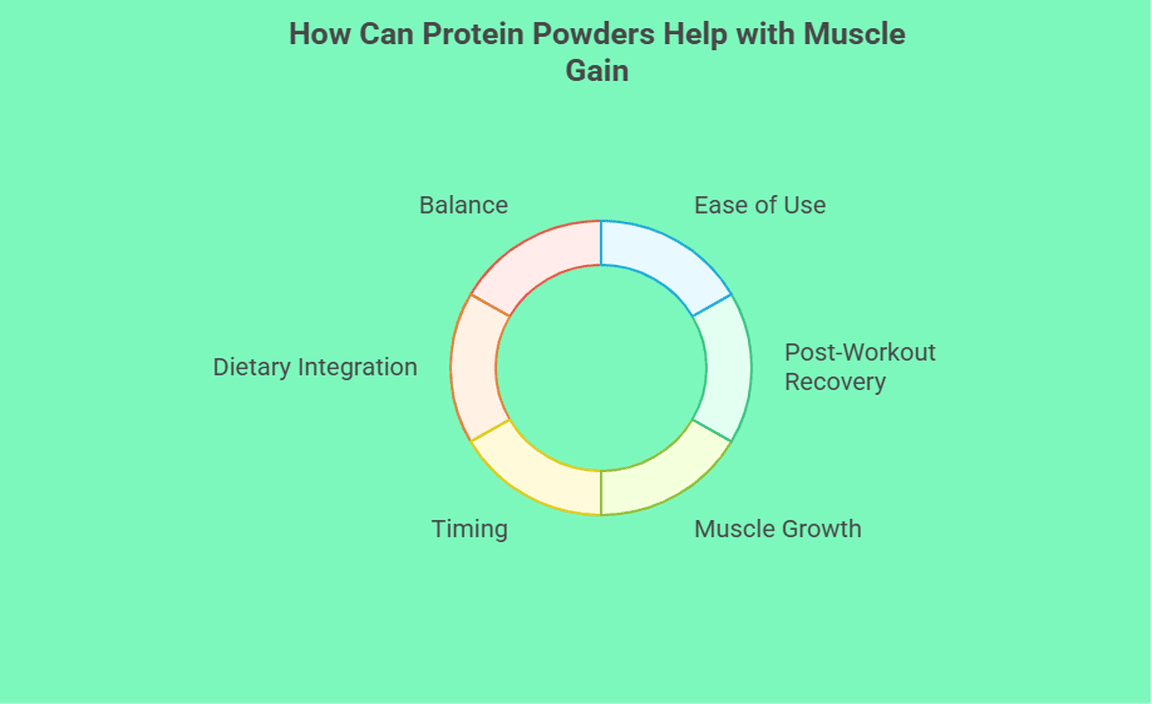 How Can Protein Powders Help with Muscle Gain