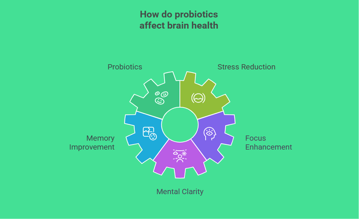 How do probiotics affect brain health
