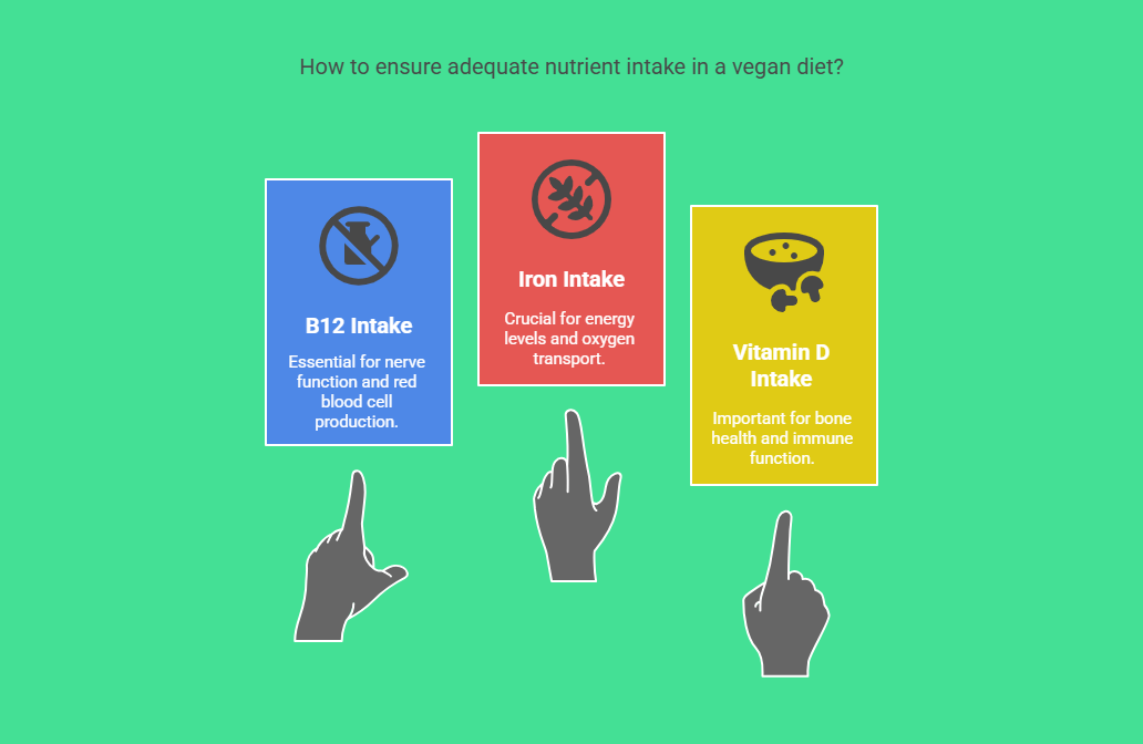 How to Maintain a Balanced Vegan Diet
