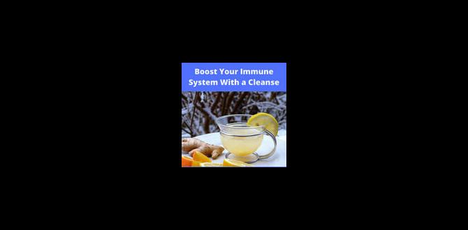 Immune system cleanse plans Immune system cleanse plans