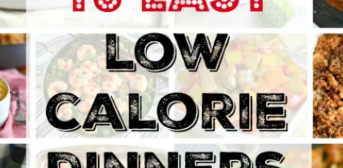 Low calorie dinner recipes for weight loss Low calorie dinner recipes for weight loss