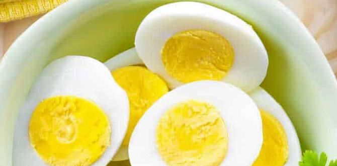 Low carb snacks for kids Low carb snacks for kids