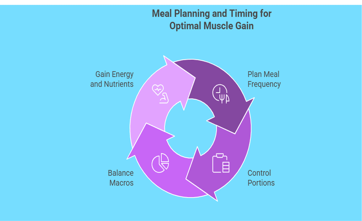 Meal Planning and Timing for Optimal Muscle Gain