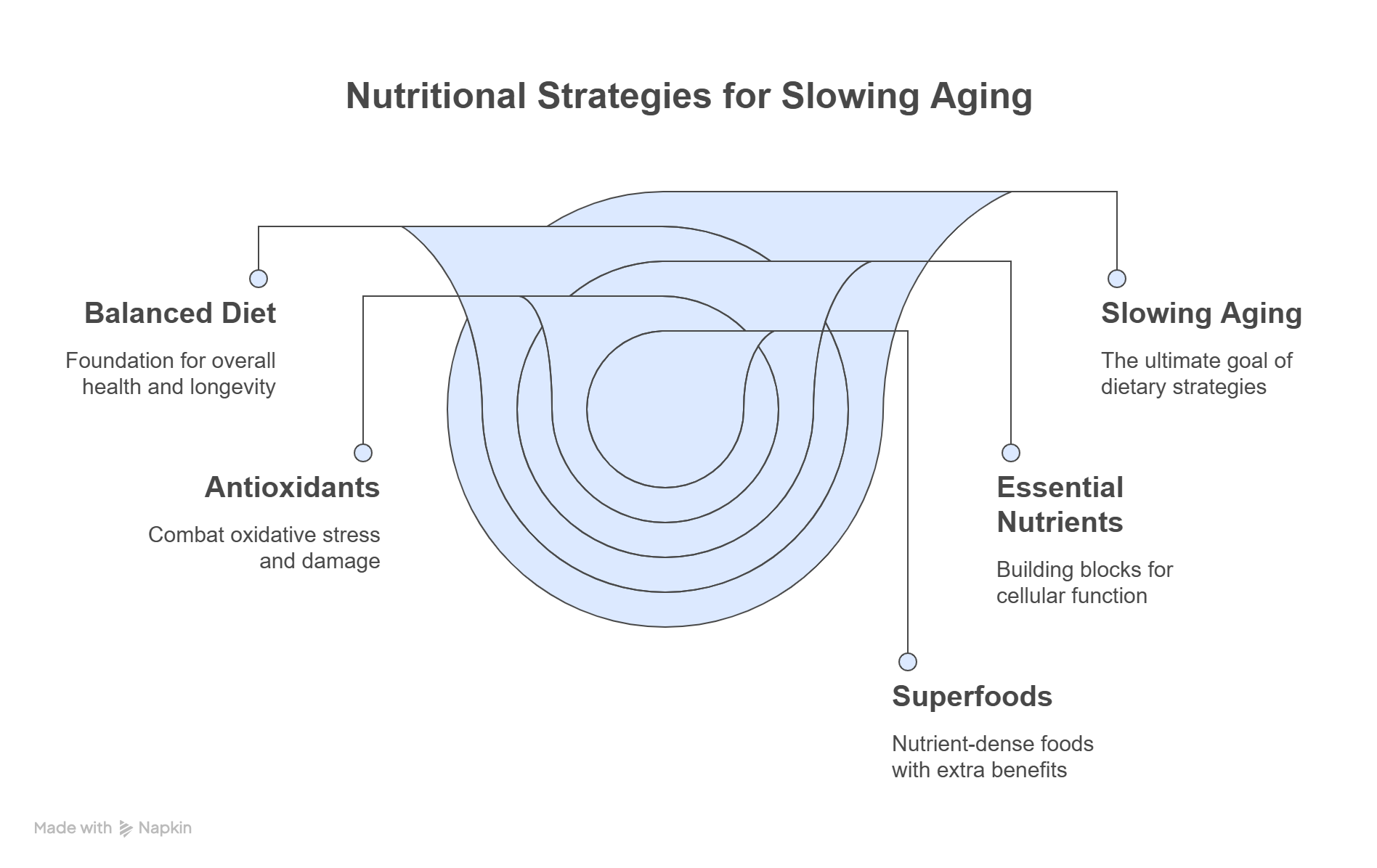 Nutritional Strategies for Slowing Down Aging - visual selection