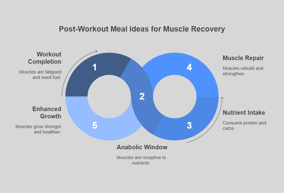 Post-Workout Meal Ideas for Muscle Recovery