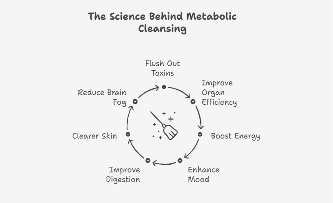 The Science Behind Metabolic Cleansing
