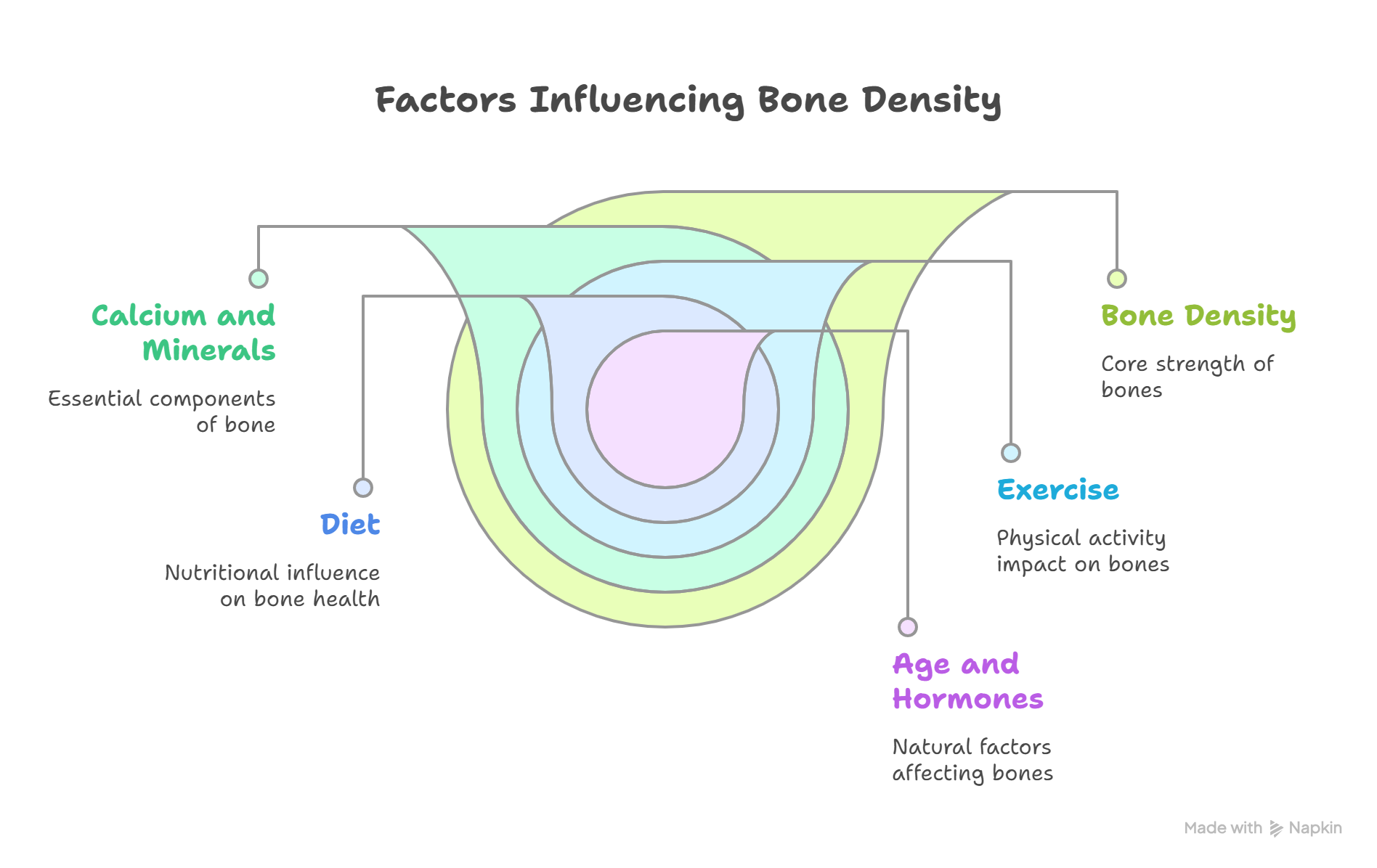 Understanding Bone Density - visual selection