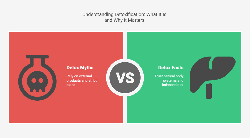 Understanding Detoxification What It Is and Why It Matters
