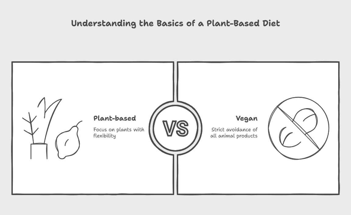 Understanding the Basics of a Plant-Based Diet