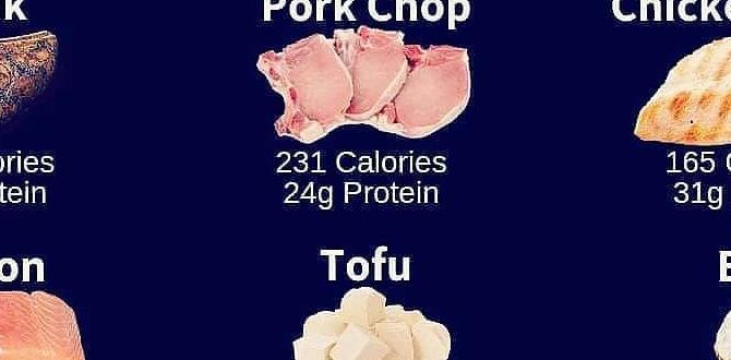 Vegan friendly protein sources for muscle growth Vegan friendly protein sources for muscle growth