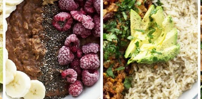 Vegan protein meals for muscle recovery Vegan protein meals for muscle recovery