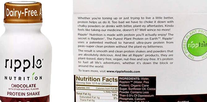 Vegan protein shakes for energy