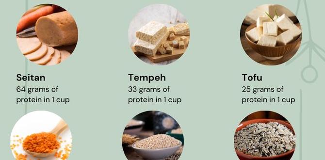 Vegan protein sources for healthy eating Vegan protein sources for healthy eating