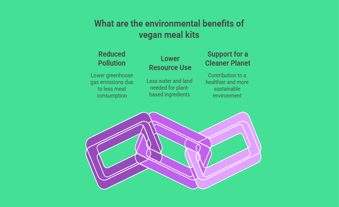 What are the environmental benefits of vegan meal kits