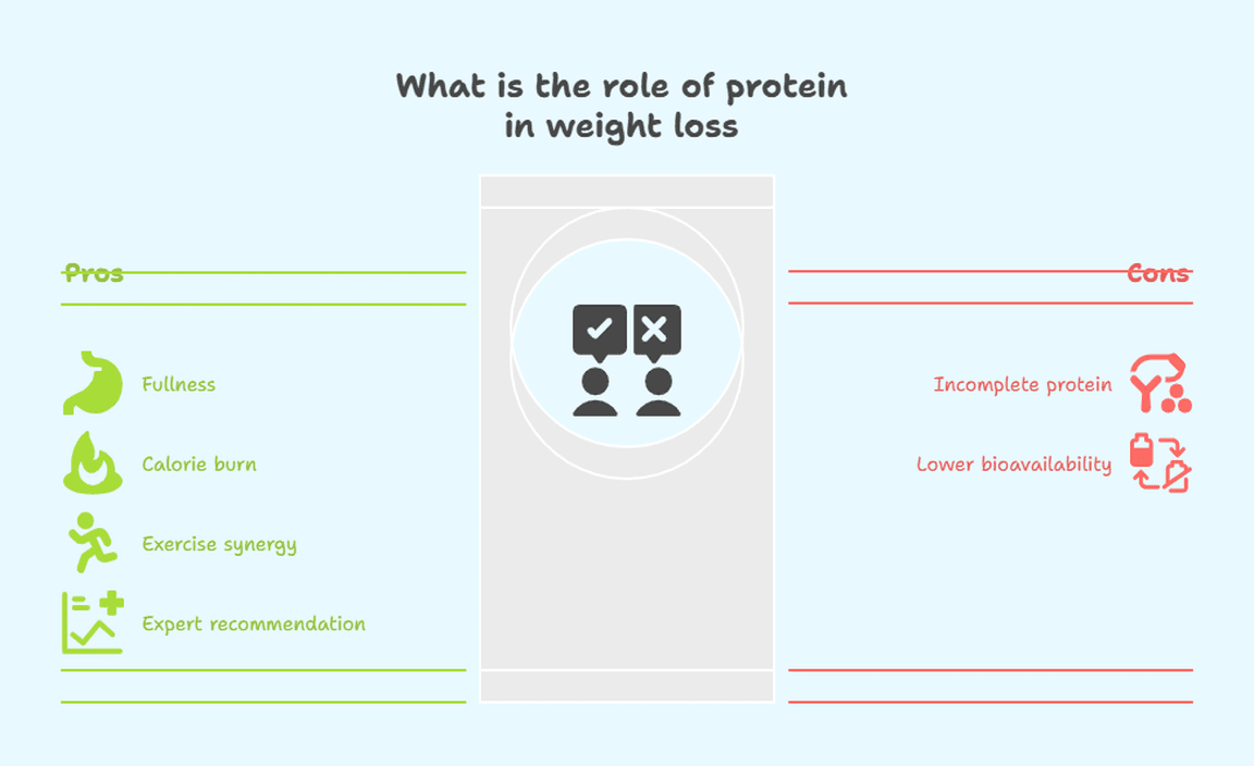 What is the role of protein in weight loss