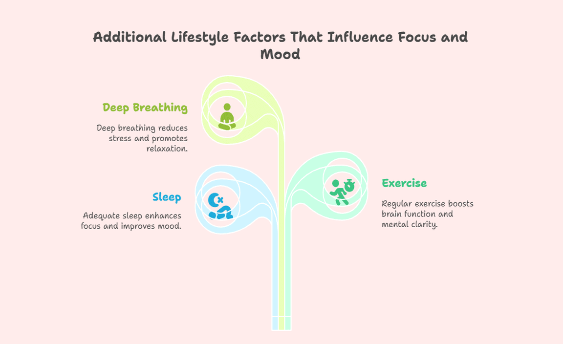 Additional Lifestyle Factors That Influence Focus and Mood