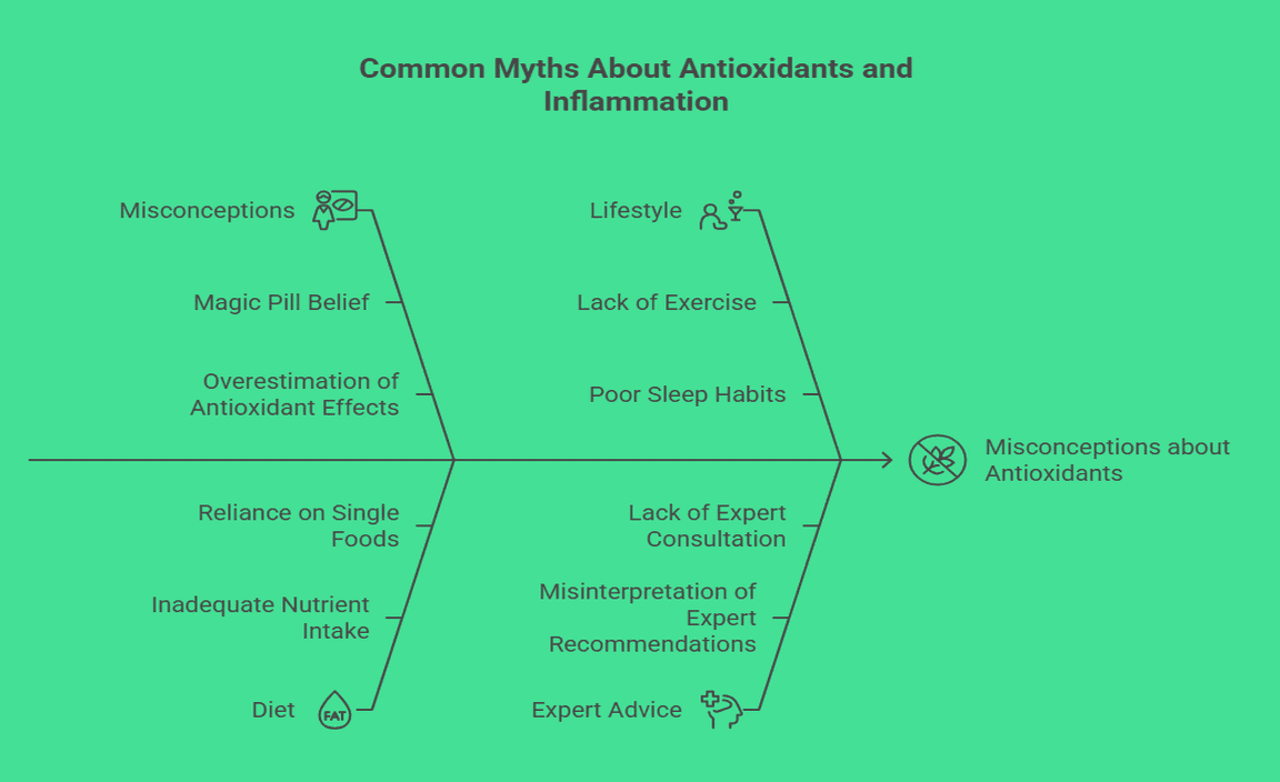 Common Myths About Antioxidants and Inflammation