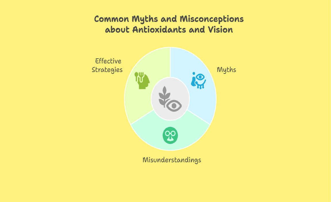 Common Myths and Misconceptions about Antioxidants and Vision