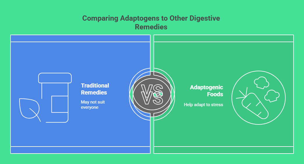 Comparing Adaptogens to Other Digestive Remedies