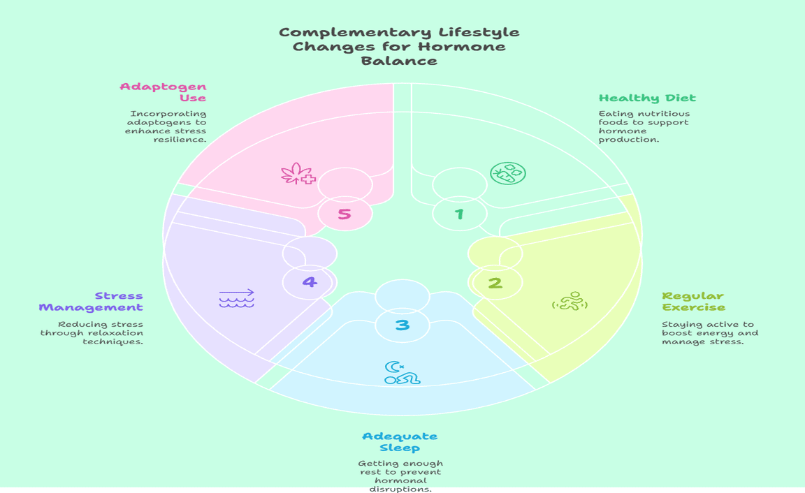 Complementary Lifestyle Changes for Hormone Balance