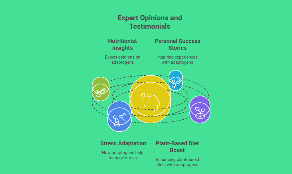 Expert Opinions and Testimonials
