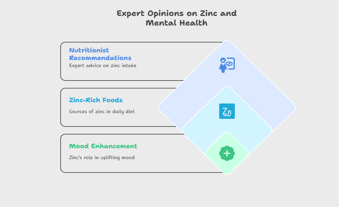 Expert Opinions on Zinc and Mental Health
