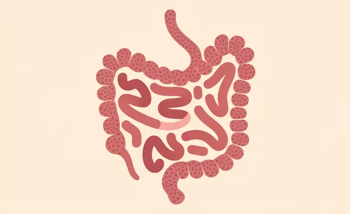 Exploring Probiotics and Their Role in Gut Health