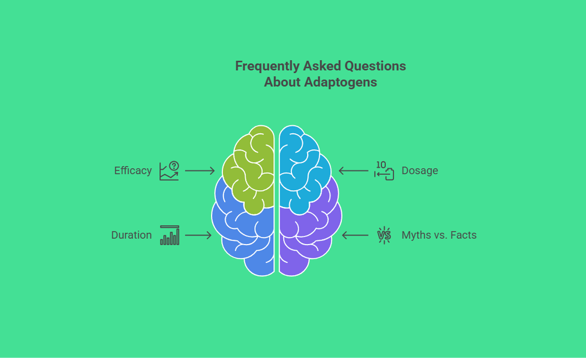 Frequently Asked Questions About Adaptogens