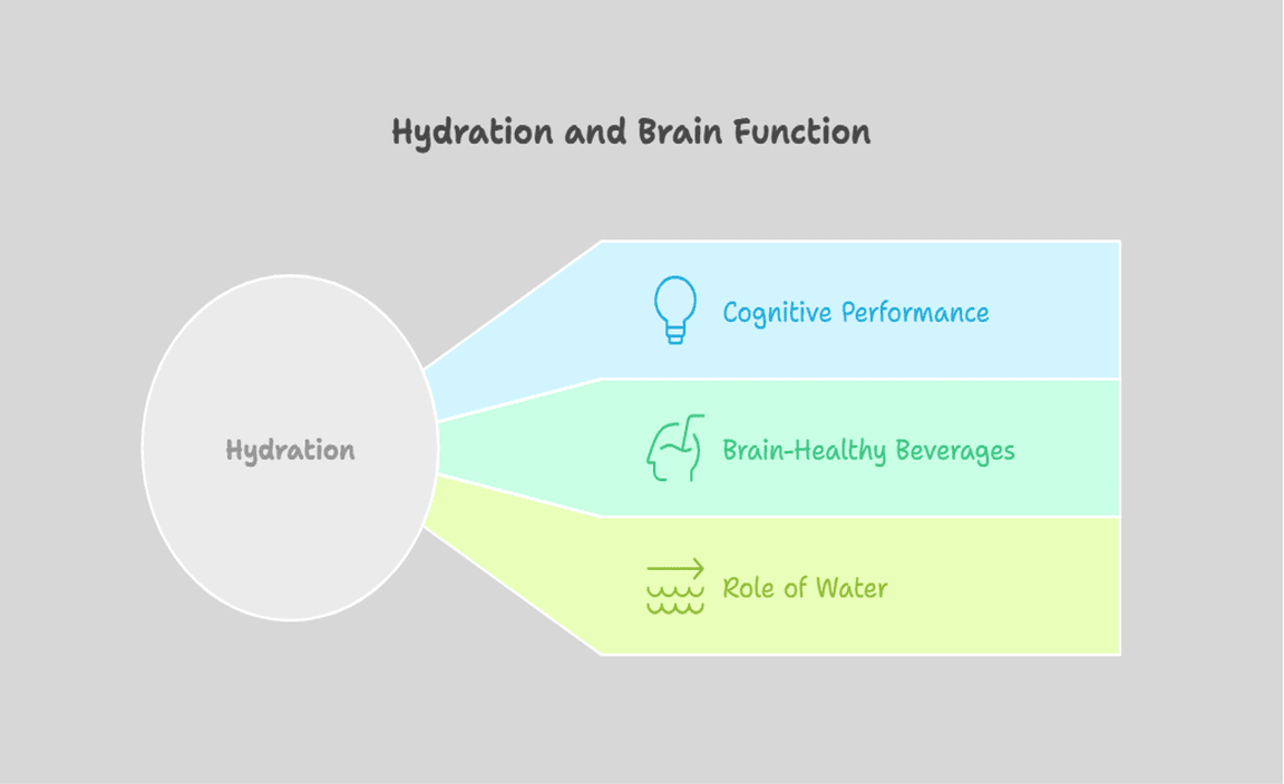 Hydration and Brain Function