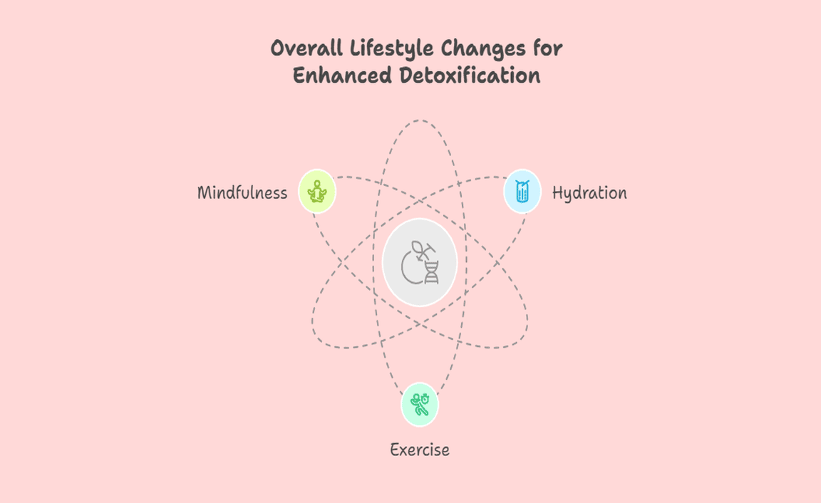 Overall Lifestyle Changes for Enhanced Detoxification
