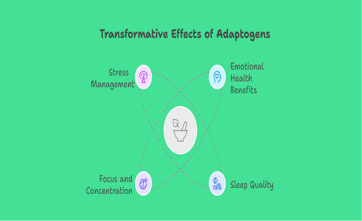 Real-Life Success Stories - How Adaptogen Meals Changed Lives