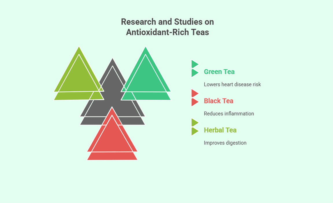 Research and Studies on Antioxidant-Rich Teas