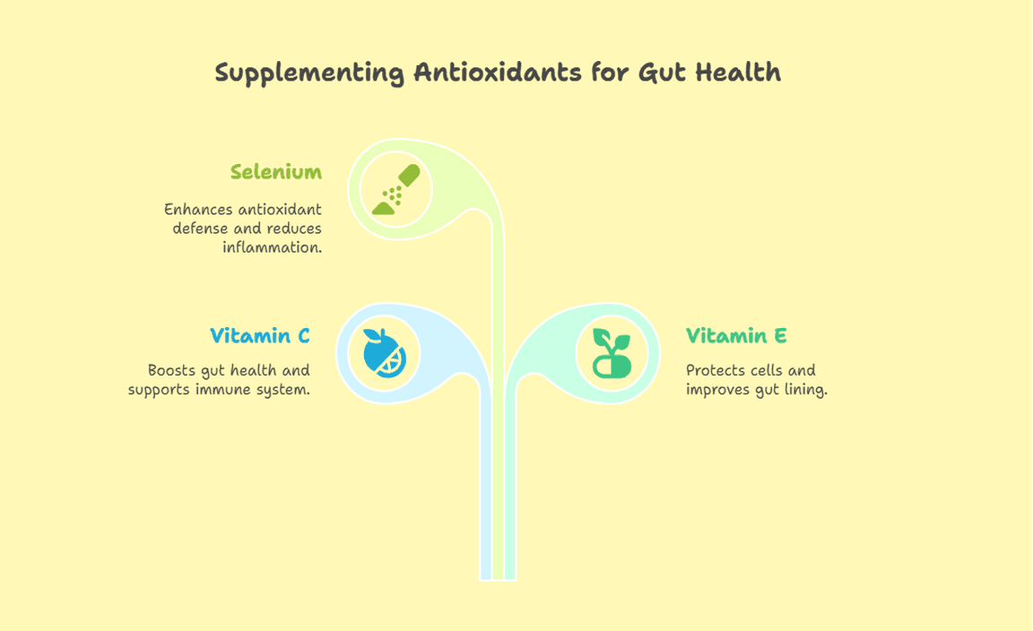Supplementing Antioxidants for Gut Health