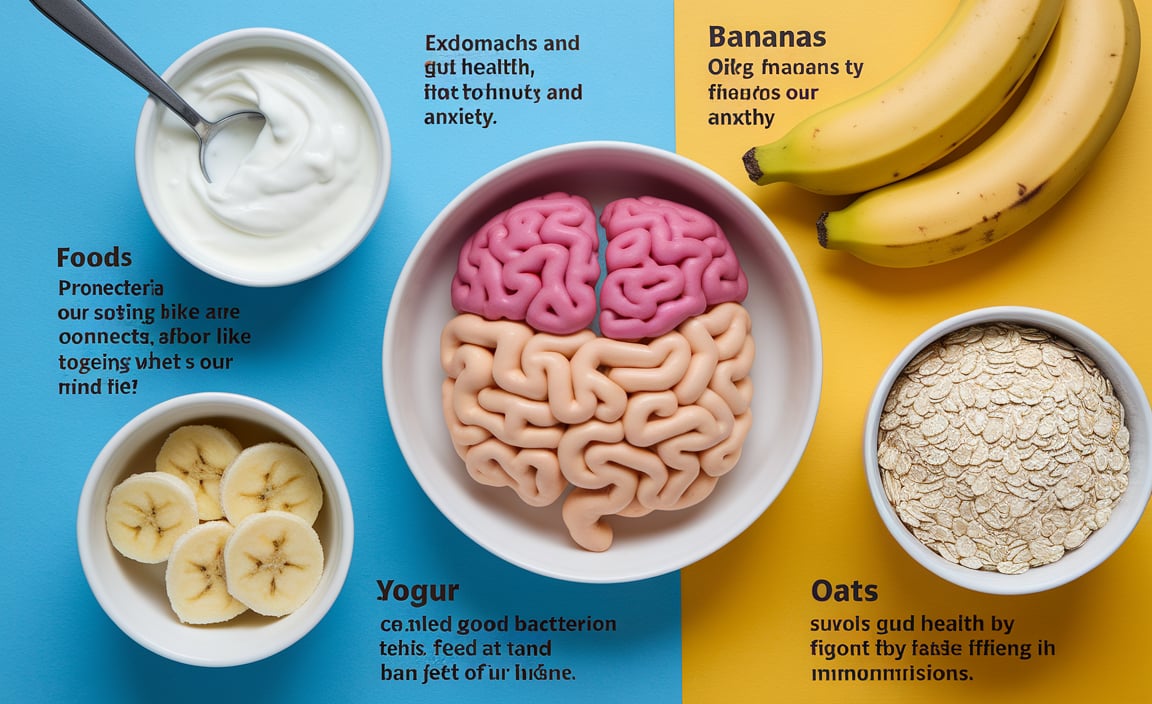 The Role of Gut Health in Immunity and Anxiety