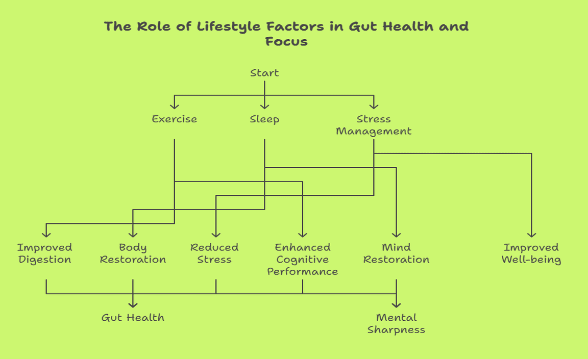 The Role of Lifestyle Factors in Gut Health and Focus