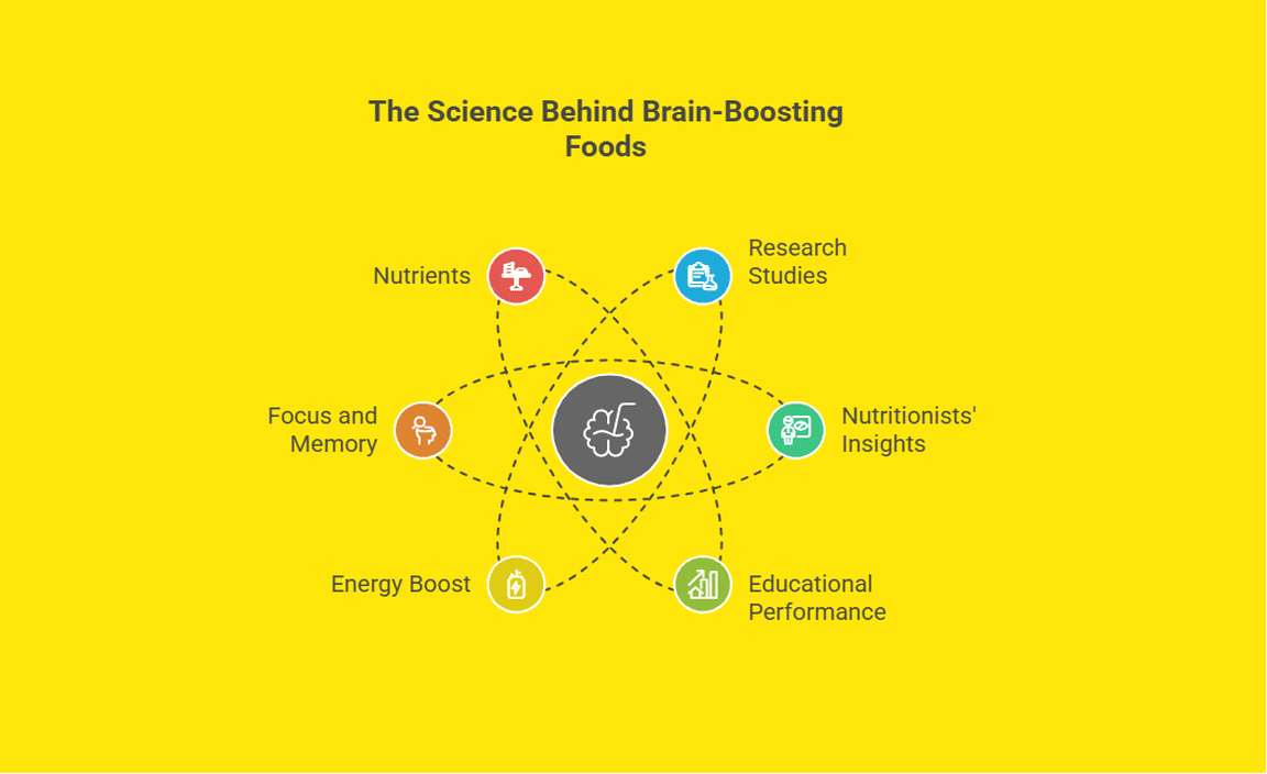 The Science Behind Brain-Boosting Foods