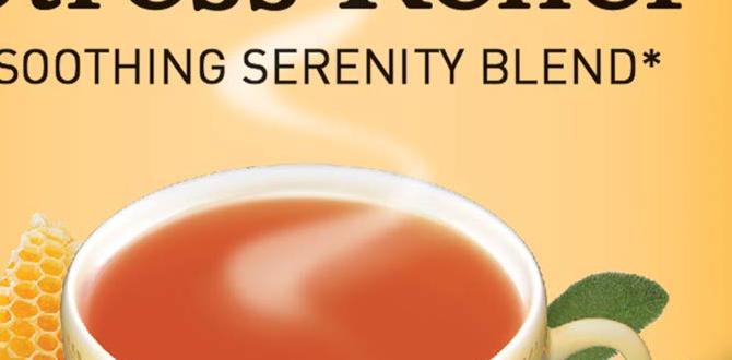 calming tea recipes with lavender calming tea recipes with lavender