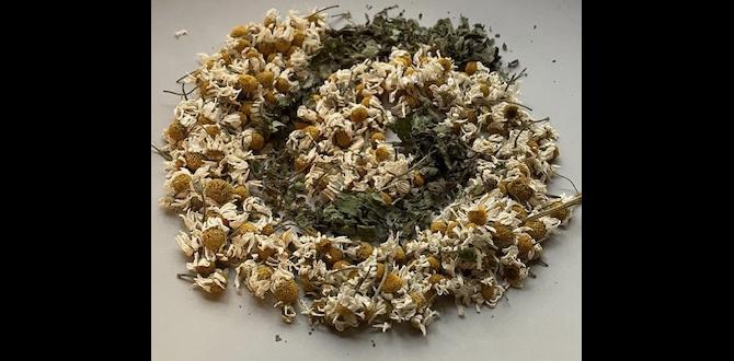 calming teas with grounding botanicals