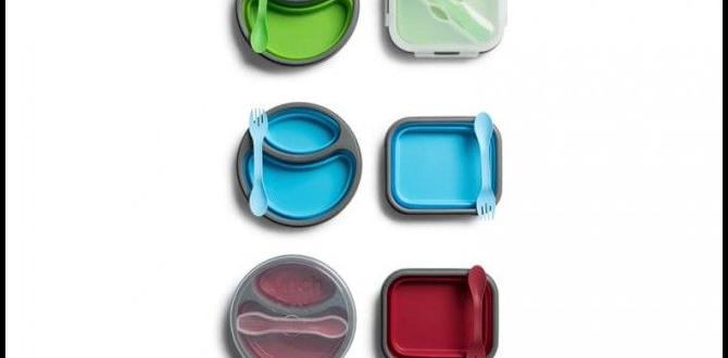 energy packed lunches for workdays energy packed lunches for workdays