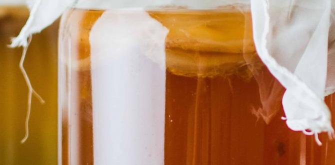 fermented beverages with dual benefits fermented beverages with dual benefits