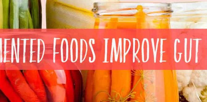 fermented condiments for daily gut care