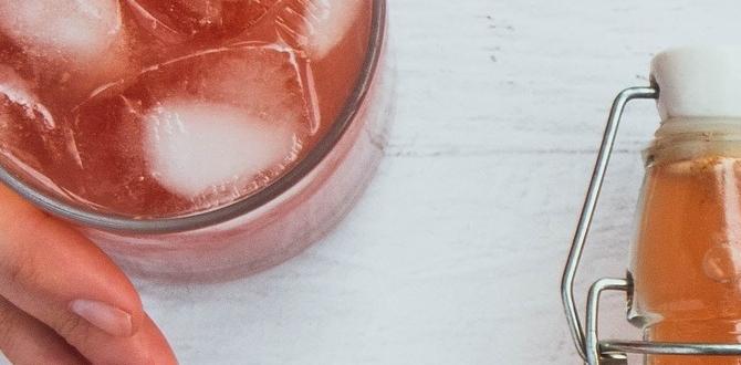 fermented drinks for immune defense fermented drinks for immune defense