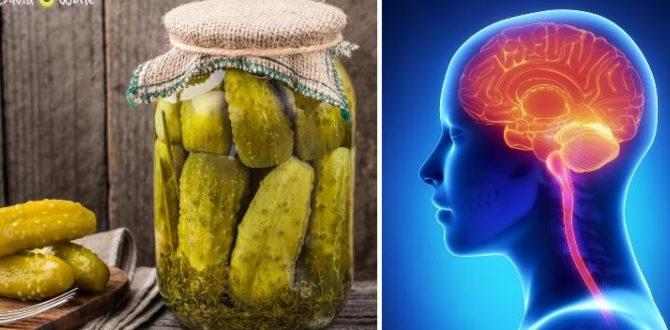 fermented food bowls with brain benefits fermented food bowls with brain benefits