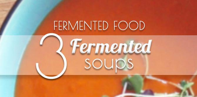 fermented soups for brain gut support fermented soups for brain gut support