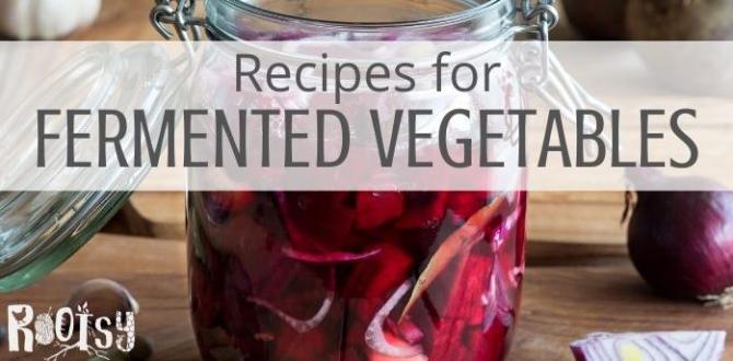 fermented vegetables for daily gut support fermented vegetables for daily gut support